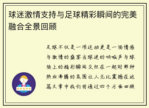 球迷激情支持与足球精彩瞬间的完美融合全景回顾