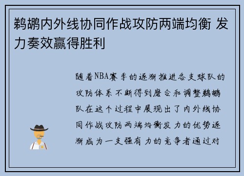 鹈鹕内外线协同作战攻防两端均衡 发力奏效赢得胜利