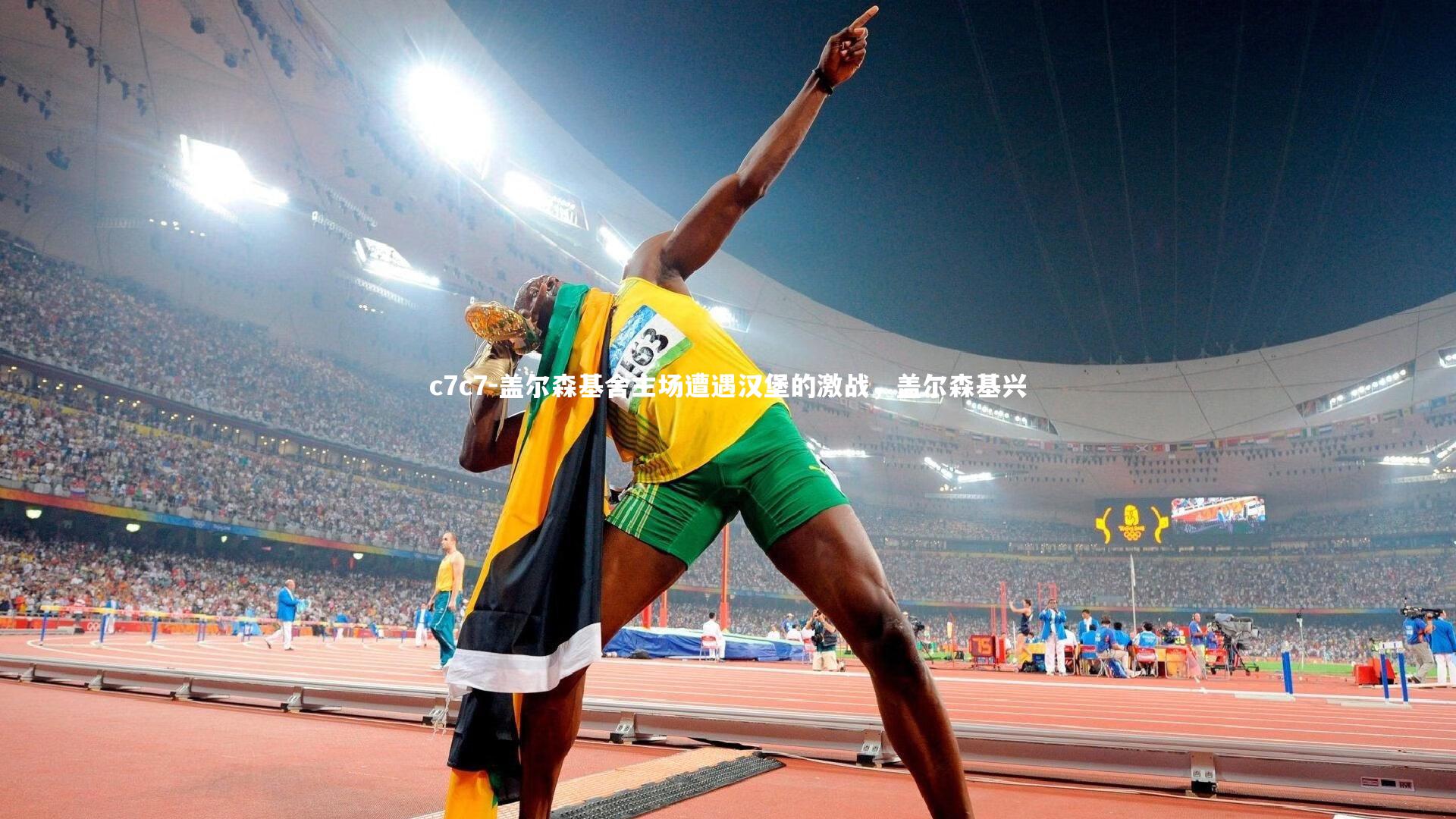 盖尔森基舍主场遭遇汉堡的激战，盖尔森基兴