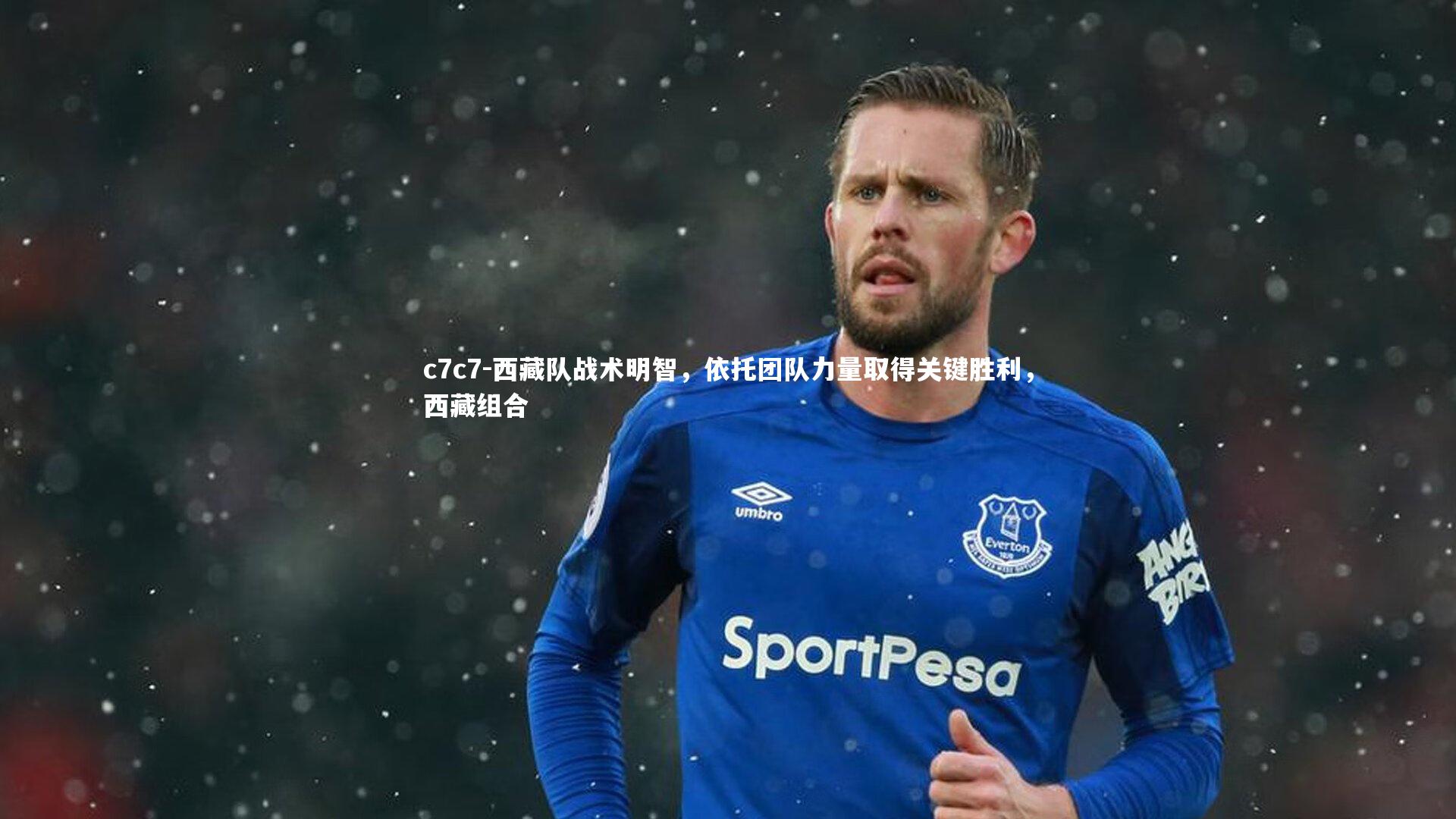 西藏队战术明智，依托团队力量取得关键胜利，西藏组合